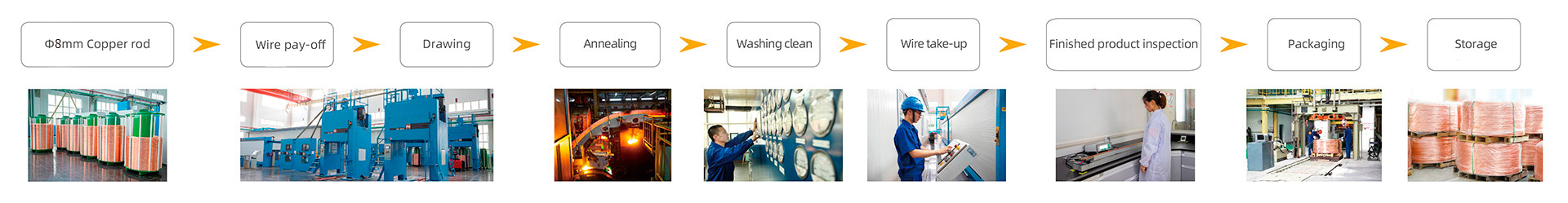 Production Process